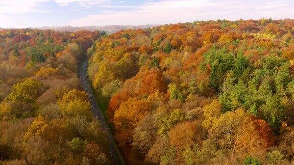 空中汽车在穿越森林的道路上行驶在秋天