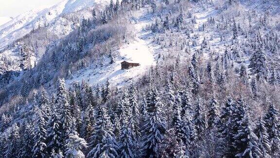 白雪覆盖的森林里的独栋房子