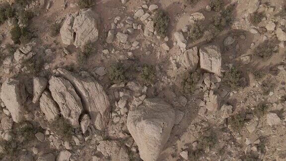 砂岩仙人掌河和沙漠元素在西部和西南部科罗拉多航空宏微4K视频系列