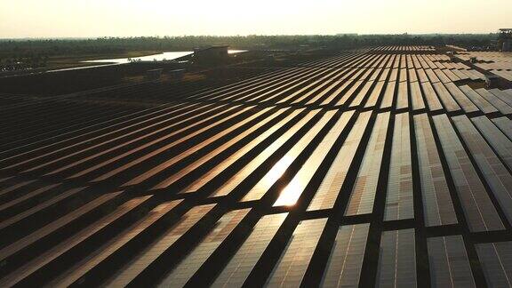 电力能源太阳能农场在日出
