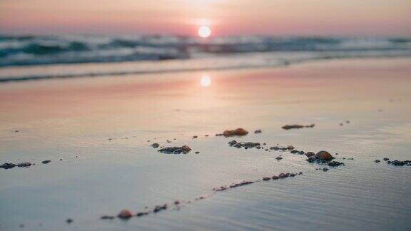 夕阳下的海滩上溢油原油污染的海滩