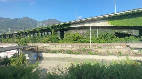 从一列行驶的火车上拍摄经过一个长满茂盛藤蔓的高架桥