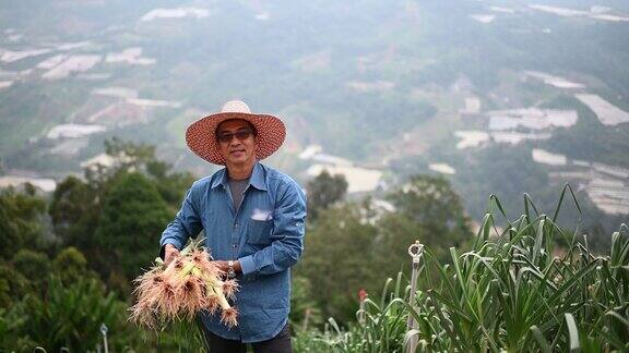 亚洲华人活跃的高级男子采摘韭菜有机农场种植收获看着镜头微笑