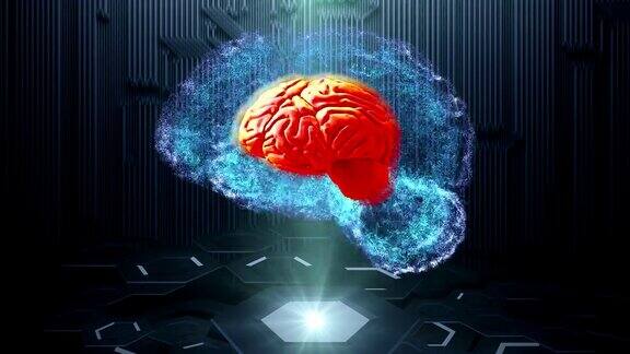 人类大脑的技术背景