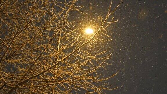 夜间降雪的低角度视图