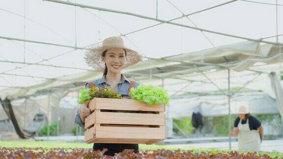 亚洲年轻美丽的妇女农民在蔬菜水培农场工作迷人的女孩农学家看着和检查绿色橡树的质量与幸福在温室农业经营理念