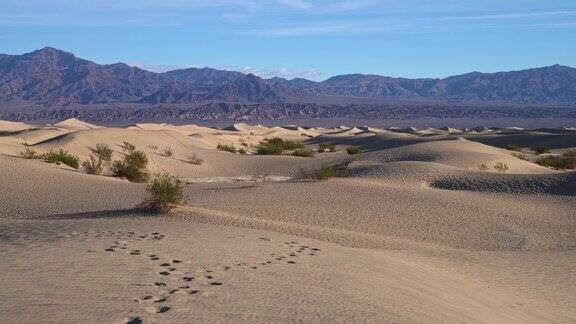 加州死亡谷牧豆树平原的沙丘全景相机运动