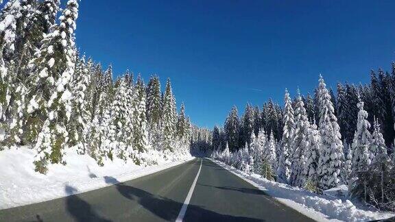 在空旷的道路上驾车沿着森林在冬天