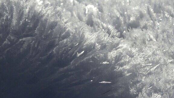 锐利的雾凇冰晶和脆弱的薄白霜在晴朗的冬日