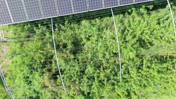 俯瞰农场的太阳能电池板