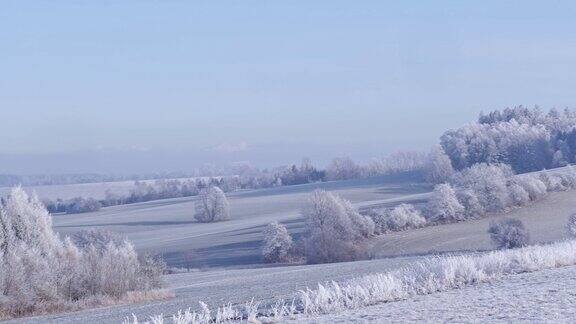 田野里有冰冻的树木和蔚蓝的天空