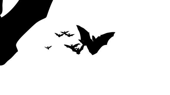 万圣节飞行蝙蝠的4K视频