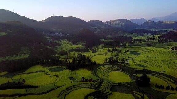 无人机在中国罗平油菜花田上空的鸟瞰图