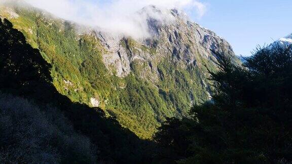 巨大的冰川雕刻山谷在峡湾新西兰