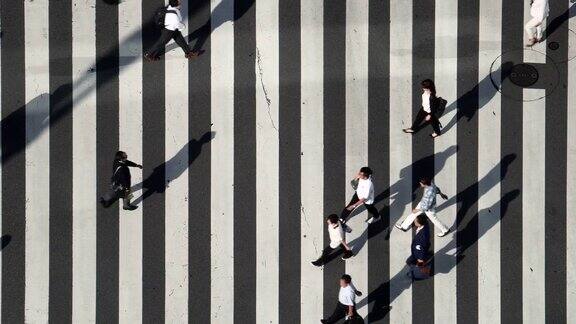 东京银座人行横道