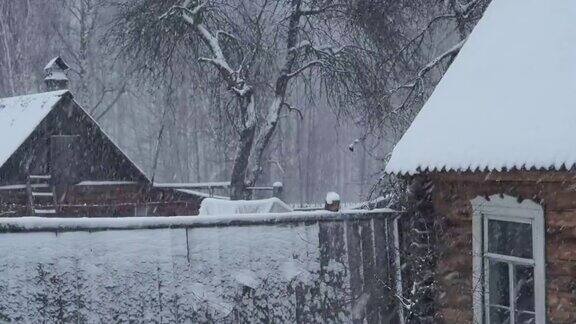 雪下的废弃房屋