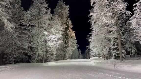 晚上在雪林里滑雪