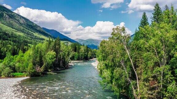 航拍新疆的河流、绿色森林和山景