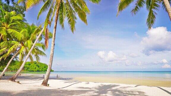 热带棕榈树海滩
