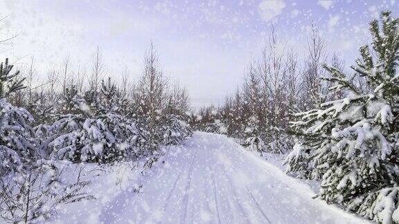 日落或日出在冬季松林与飘落的雪小路道路轨道