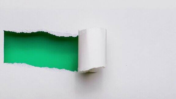 4k:纸张在绿色背景上被撕成碎块
