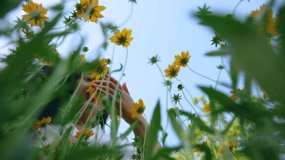 在一片黄色的花田里妇女们用手触摸着花