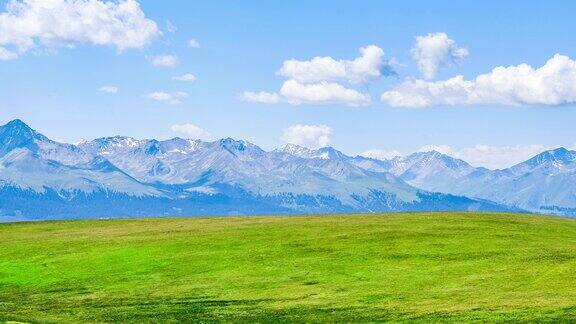 新疆绿色草原自然风光