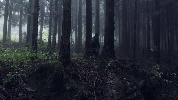 雨中有雾人在森林里行走