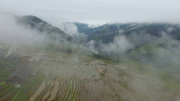 高空飞稻田龙胜桂林中国