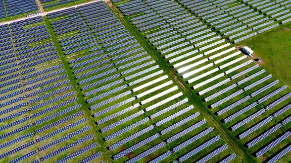 在大型太阳能发电厂的清洁绿色能源太阳能板上飞翔的鸟