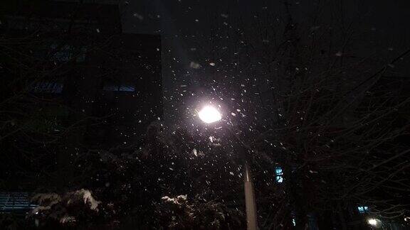 在一个漆黑的夜晚无数的雪花飘落在明亮的街灯周围