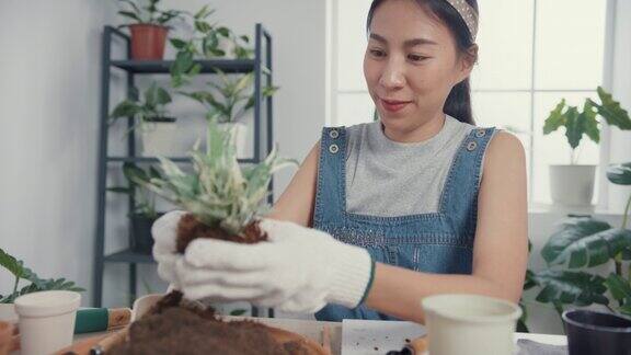 年轻的亚洲妇女在早上在家里移栽植物到新花盆