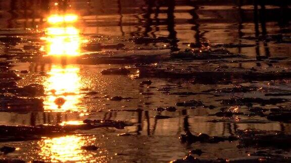 日落时浮冰在河上漂流冰原主冬季4K