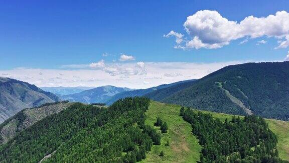 鸟瞰中国新疆的绿色森林和山地自然风光
