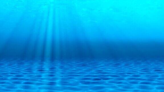 水下sceen看看我的其他水下和海景动画