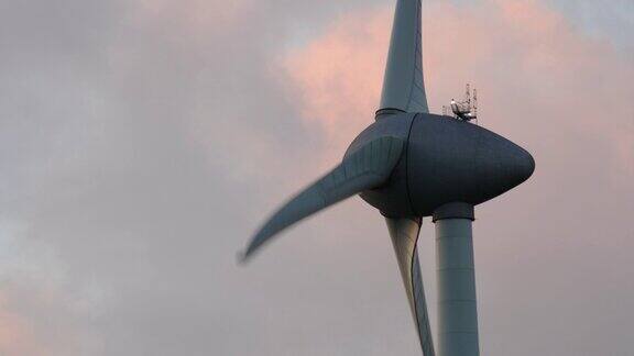 日落时分海风公园里的风力涡轮机叶片在风中转动