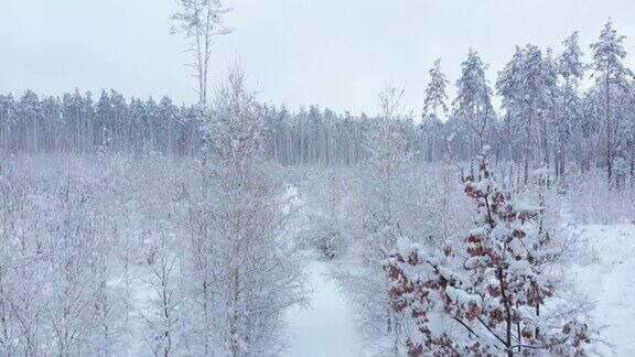 照相机飞过冬天的森林