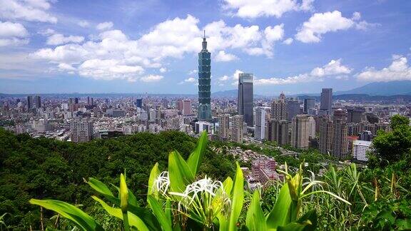 晴朗的一天台湾台北城市的全景