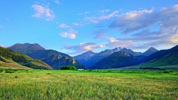 绿草如茵群山环抱的新疆自然风光