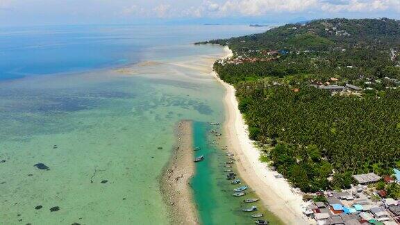 美丽的岛屿鸟瞰图与海滩和大海周围的椰子树