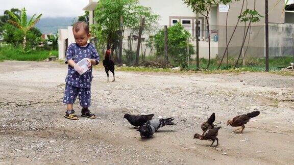 小男孩在春天的花园里与小鸡和鸽子玩耍
