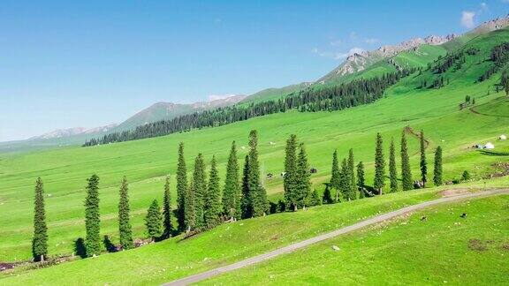 新疆那拉提草原自然景观的航拍镜头