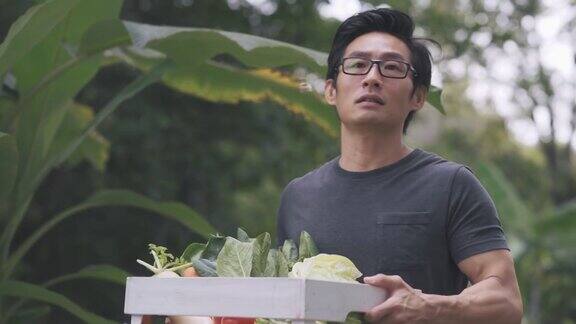可持续的生活方式肖像自信亚洲华人中年男子微笑着看着相机带着一箱蔬菜在后院菜园耕种