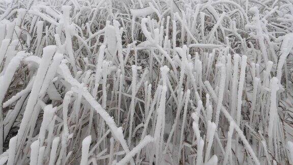 铜观点在一个白雪皑皑的冬天里拍视频