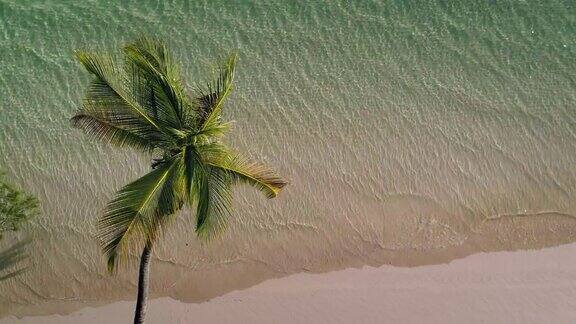热带岛屿的海滩椰子树上的海浪鸟瞰