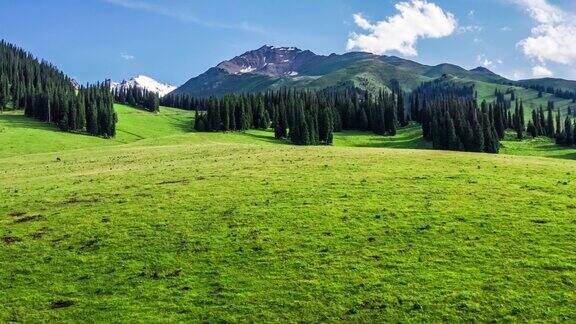 新疆绿色草原自然景观航拍画面