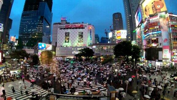 日本东京涩谷人们撑着雨伞穿过著名的对角线十字路口的4K延时视频