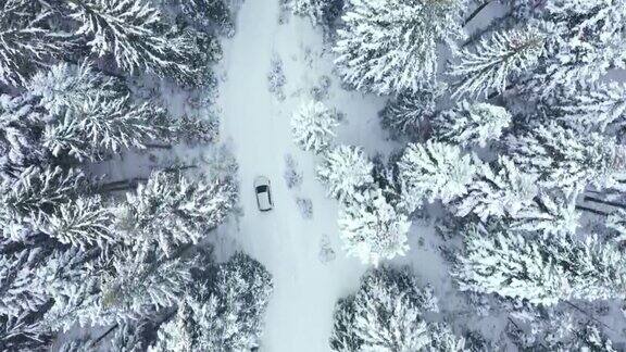 在冬季乡村道路上行驶的汽车