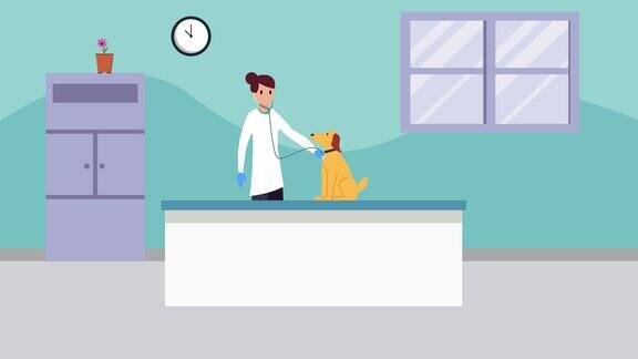兽医用听诊器检查生病的狗
