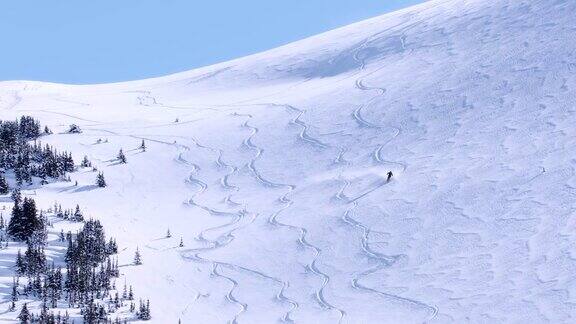 高山滑雪者在山上的粉雪上滑雪